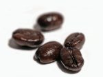 coffee_01_bg_031106